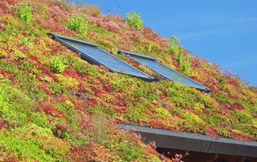 Leckhampton living roof systems